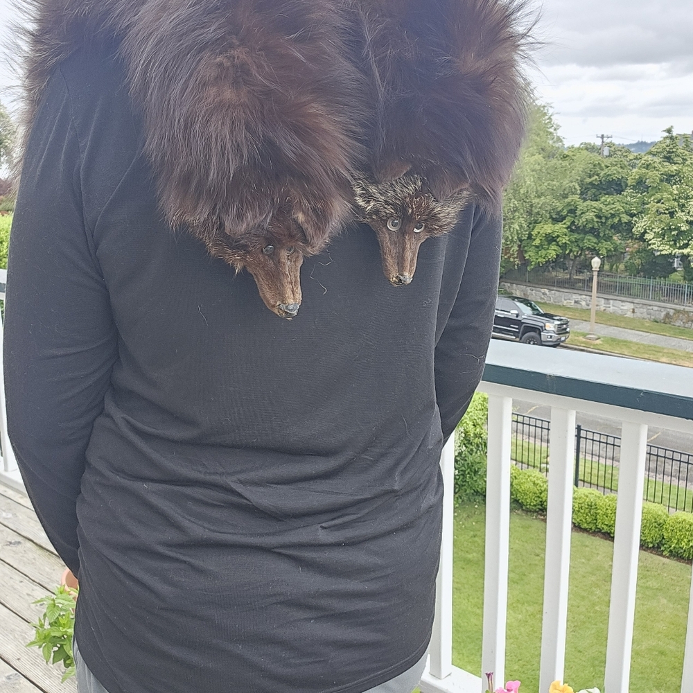Vintage Fox Fur Stole - Picture 7 of 15